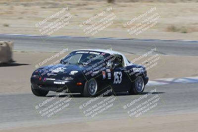 media/Nov-04-2023-CalClub SCCA (Sat) [[cb7353a443]]/Group 3/Cotton Corners (Race)/